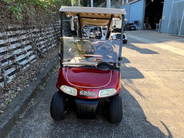 EZGO RXV FREEDOM GOLF CART Electric 2008
